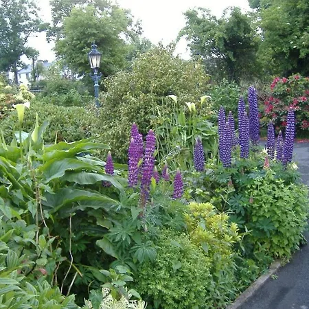 Bed & Breakfast Riverwalk House 4*